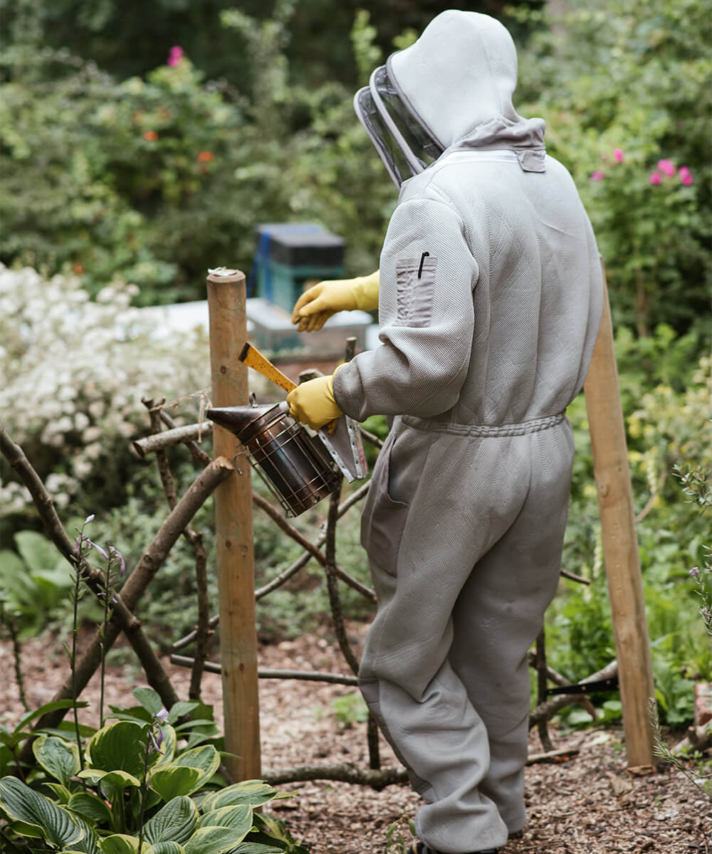 Apiculteur pratiquant l'apiculture